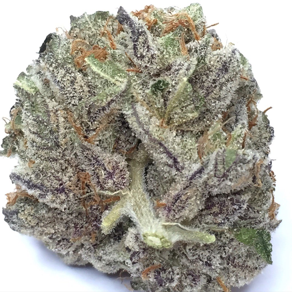 mudbaymeds's tweet photo. White Chocolate by @moe_lasses https://t.co/TwDr1krSgb