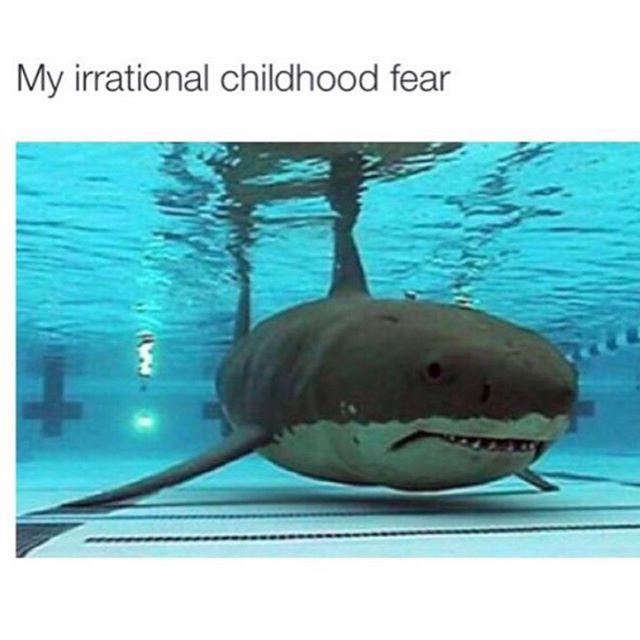 EllsworthOneida's tweet image. 