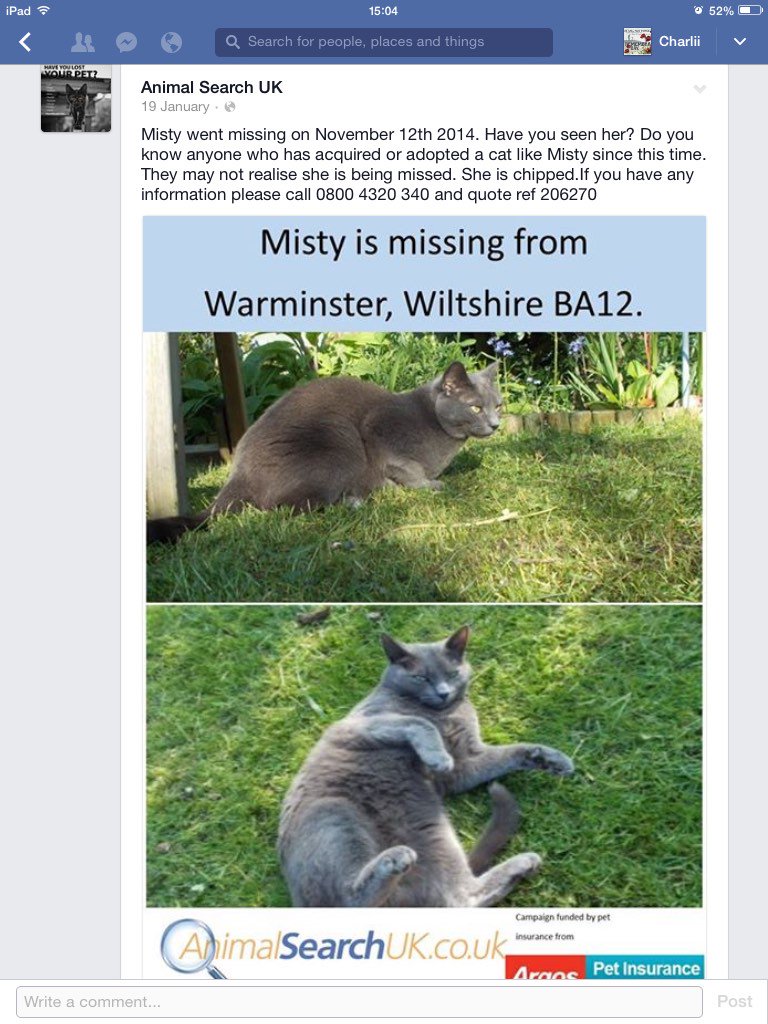 charliichaz's tweet photo. @AnimalSearchUK 1 year and 3 months and still no news of Misty https://t.co/0ONkiZcFfb