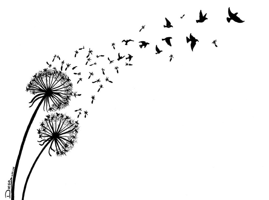 Stuckpixelinc's tweet photo. Set this relaxing #WallpapersHD on your phone or desktop and feel more tranquil!  https://t.co/pIzP6HE3RZ https://t.co/yCFetOgtcF