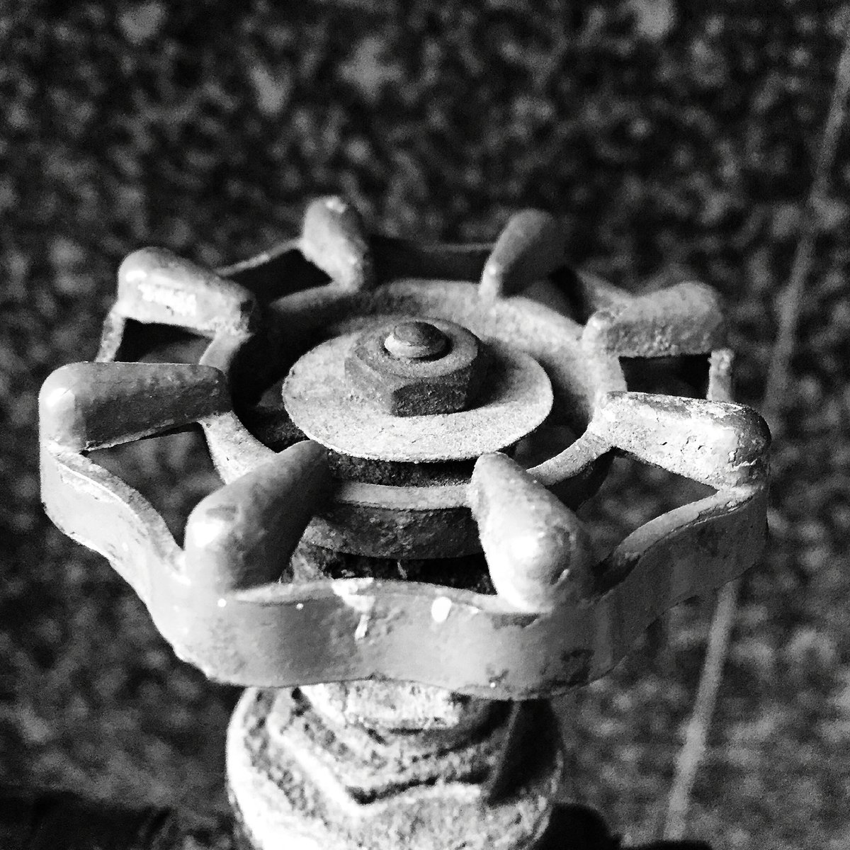 BW_UrbanShots's tweet photo. #urbanshots #urban #water #stopcock #bw #insta_bw #bw_society #artphoto_bw #streetphoto_bw #streetbw #bw_awards https://t.co/Q8ITTcBghV