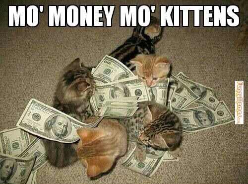 StudySoupMU's tweet image. Life after making money from Studysoup. #noragrets #studysoup