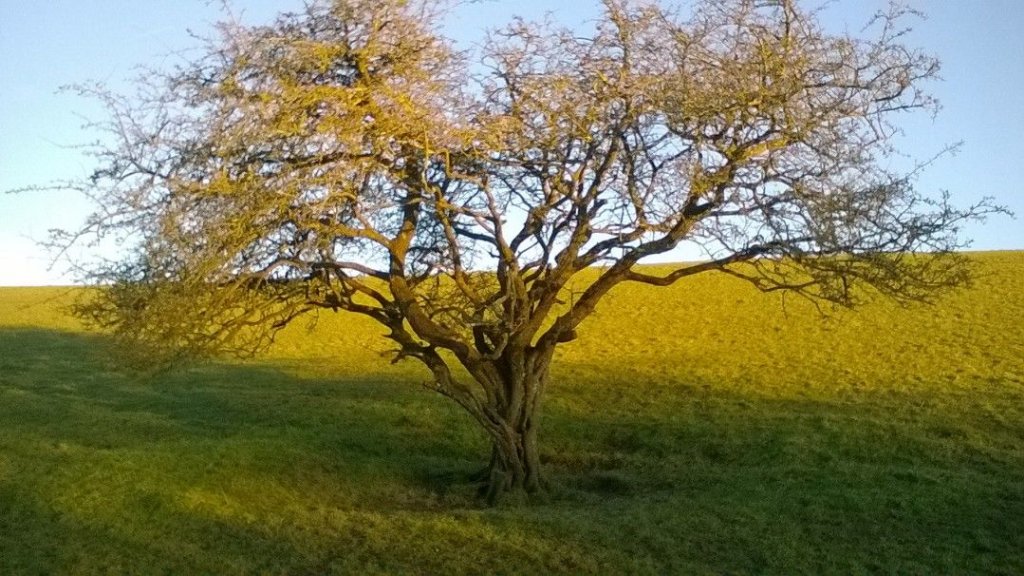 zipidydodaday's tweet image. &quot;@CountryLife100: #WIN  #springsnaps -