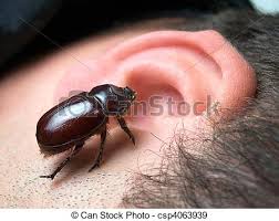 michellebb10's tweet photo. Wtf #buginear #Survivor https://t.co/o1577AZZF2