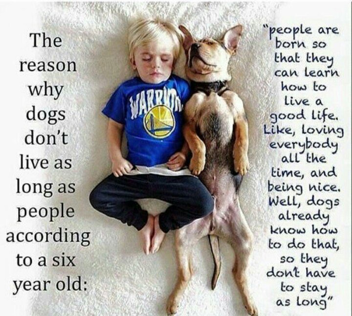 WakeupPeopIe's tweet photo. 👌👌 https://t.co/btcT9b1ihS