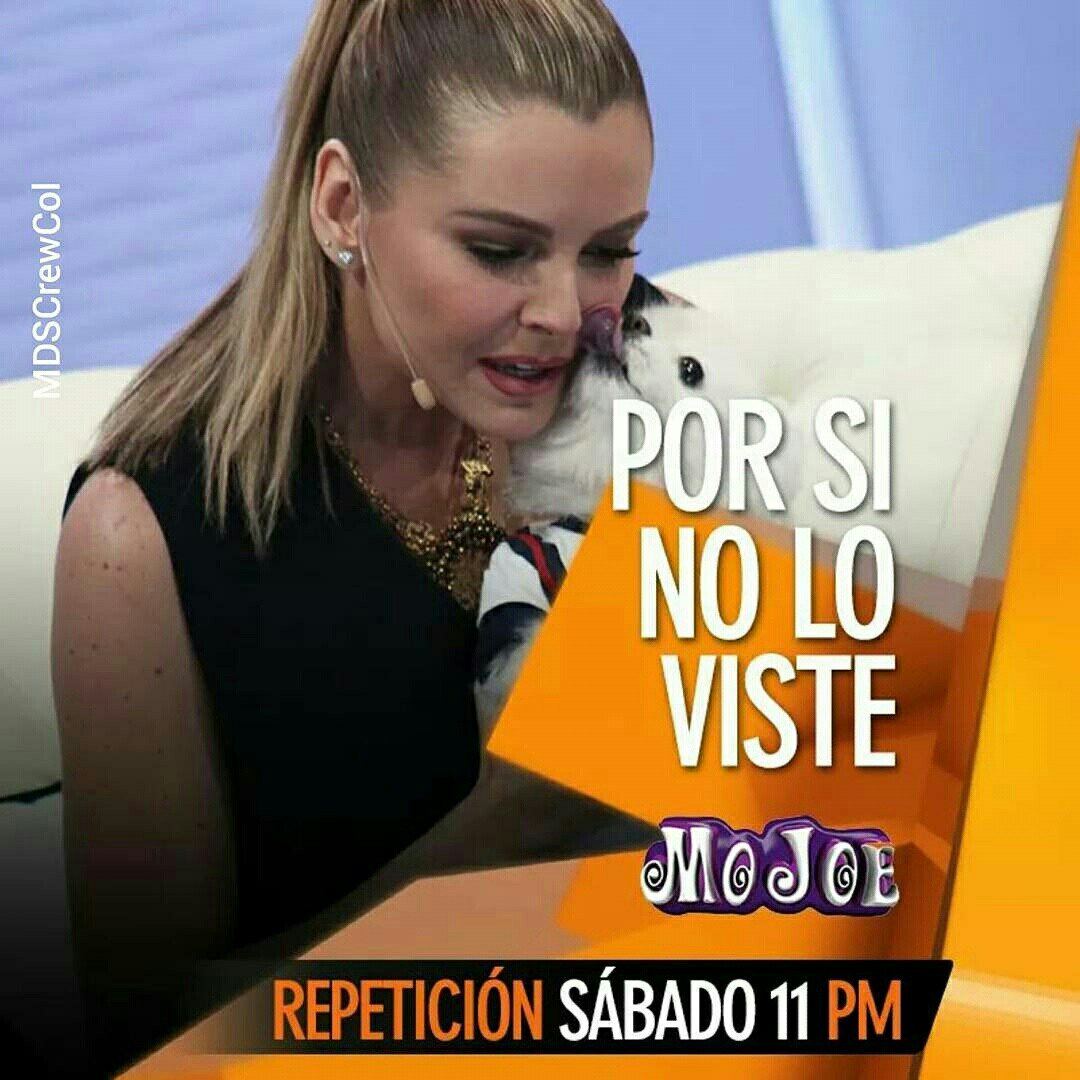 JSousatica tweet picture