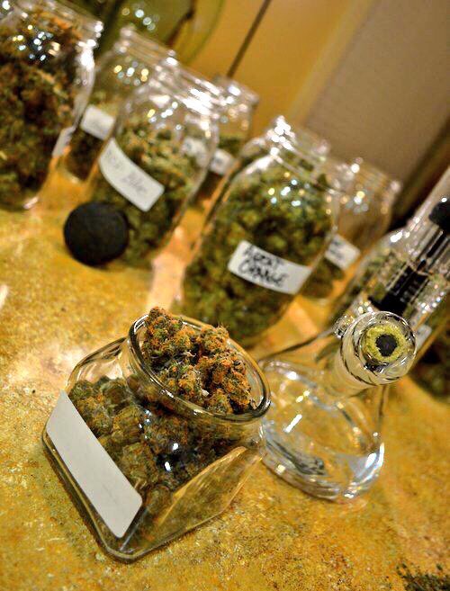 HempLifeGlobal.com is like Twitter meets Facebook but 4 #Cannabis lovers across the planet! It's super dope✌🏻️💨