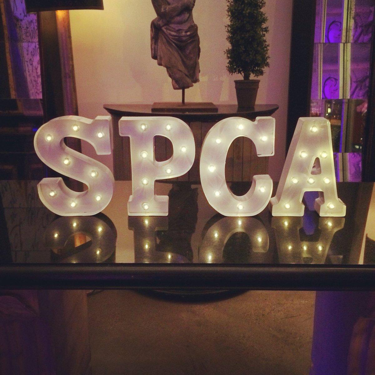 ohsocynthia's tweet photo. Can't wait for #ProjectRuffway benefiting @SPCAofTexas on April 2! https://t.co/6vplzvtVzg