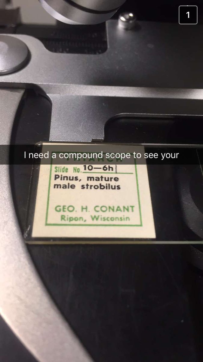Matthew_TRex's tweet photo. Reasons we're roommates @zsube https://t.co/Yn609jCdR5
