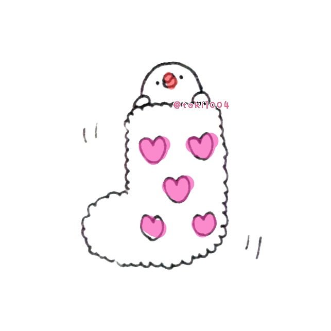 とき No Twitter 部屋があまりにも寒いので もこもこ靴下を履いてます 絵 イラスト イラストレーター お絵描き ドローイング 一発描き ボールペン 文鳥 Bird らくがき もこもこ もこもこ靴下 T Co Vt0kmycauq