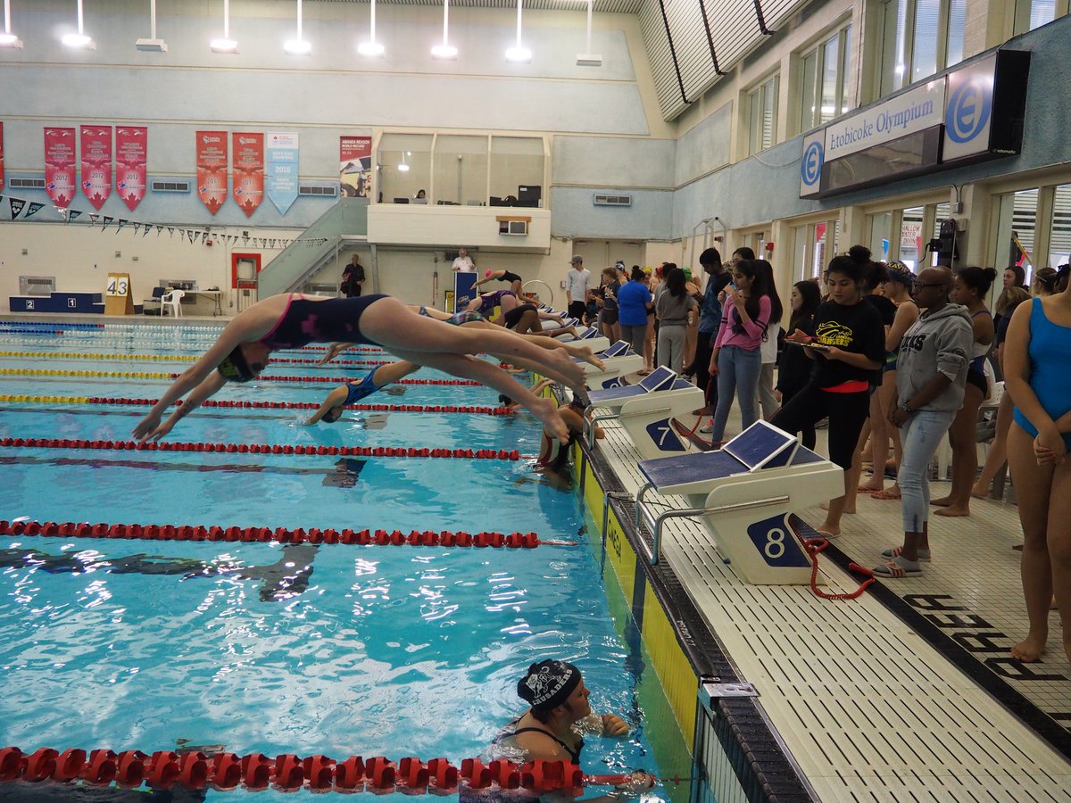 YearbookBcss's tweet image. Well today was #JustkeePSwimming