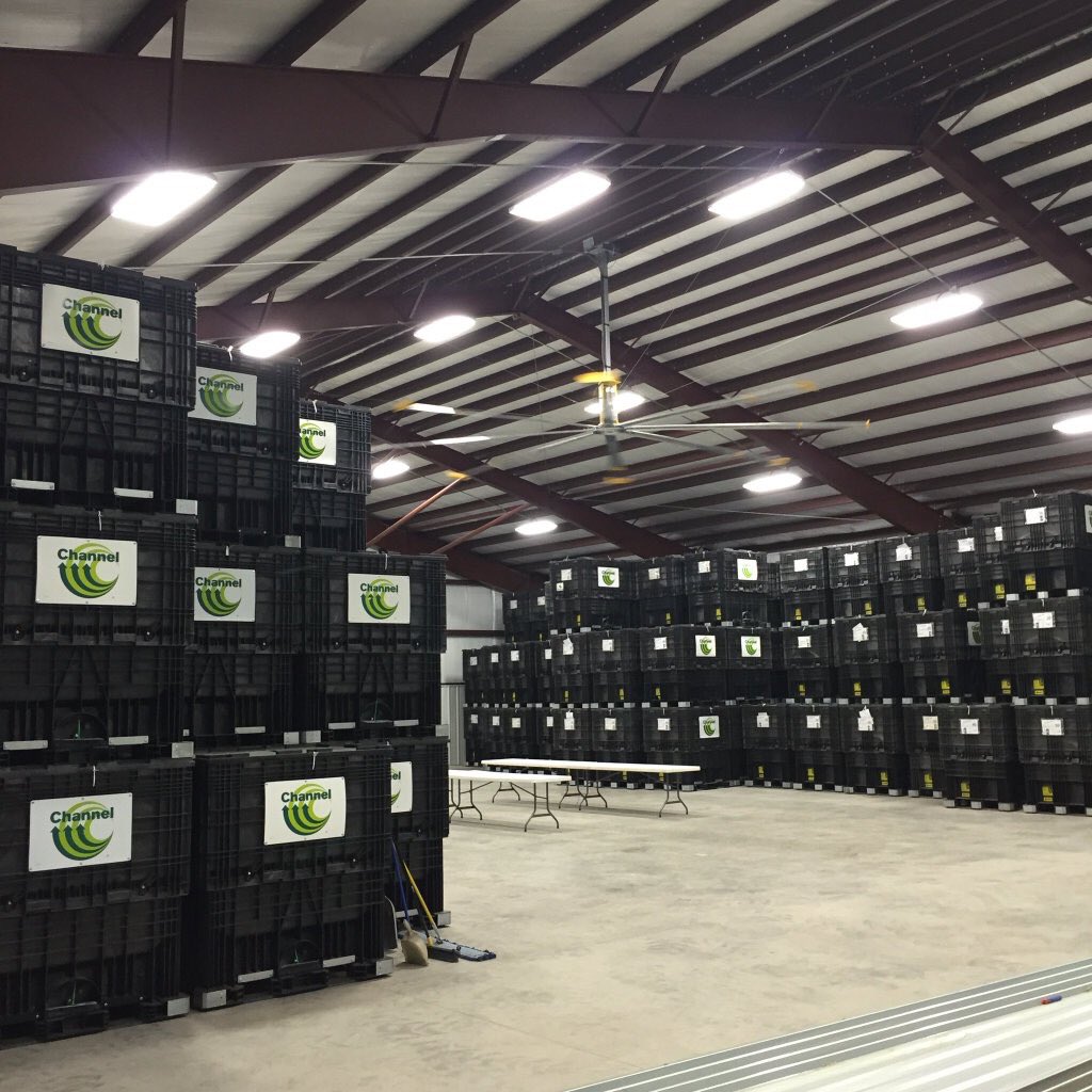 scooter7y's tweet photo. @tjwd83 @bdebo67 #cornsnob #excitedto plant #plant16 https://t.co/GBOFCXXXet