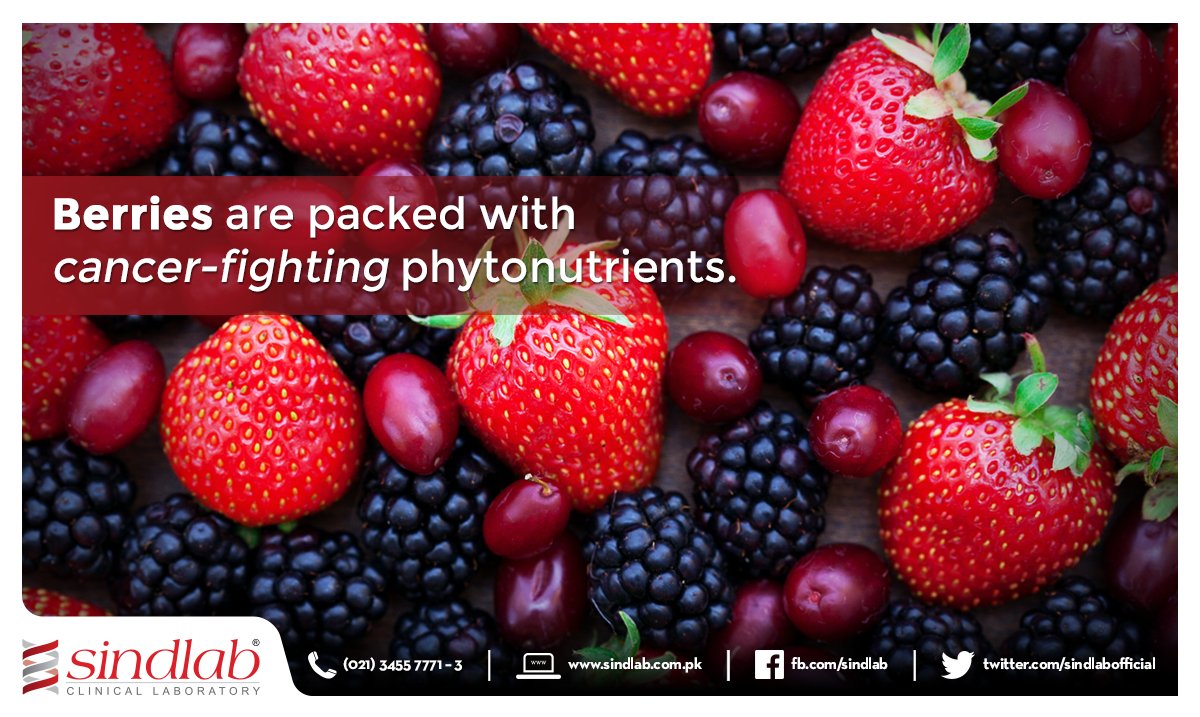 sindlabofficial's tweet photo. Berries help fight colon, esophageal, oral, and skin cancers. https://t.co/enTEt0x96o #Sindlab #CancerFighter https://t.co/GYhiVlWgvU