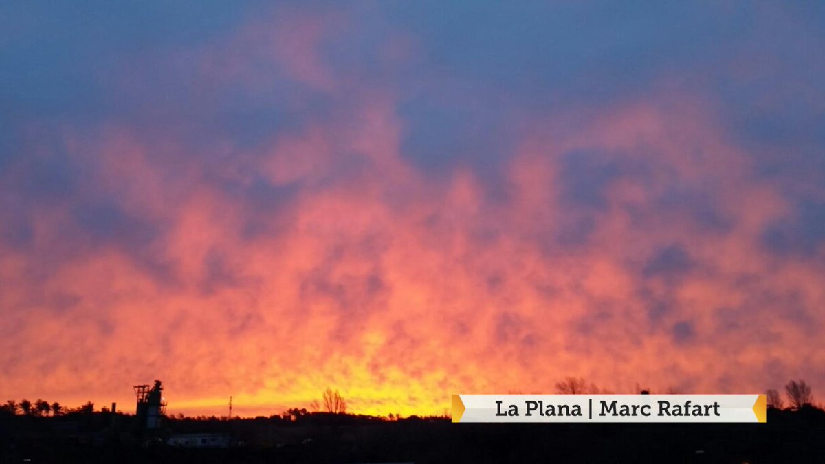 gemmapuigf's tweet photo. Bon dia @elsmatins!Llevar-se d'hora ha tingut recompensa #celences #324eltemps #palamós #laplana #stllorenç #calders https://t.co/sOvW0Wm2fS
