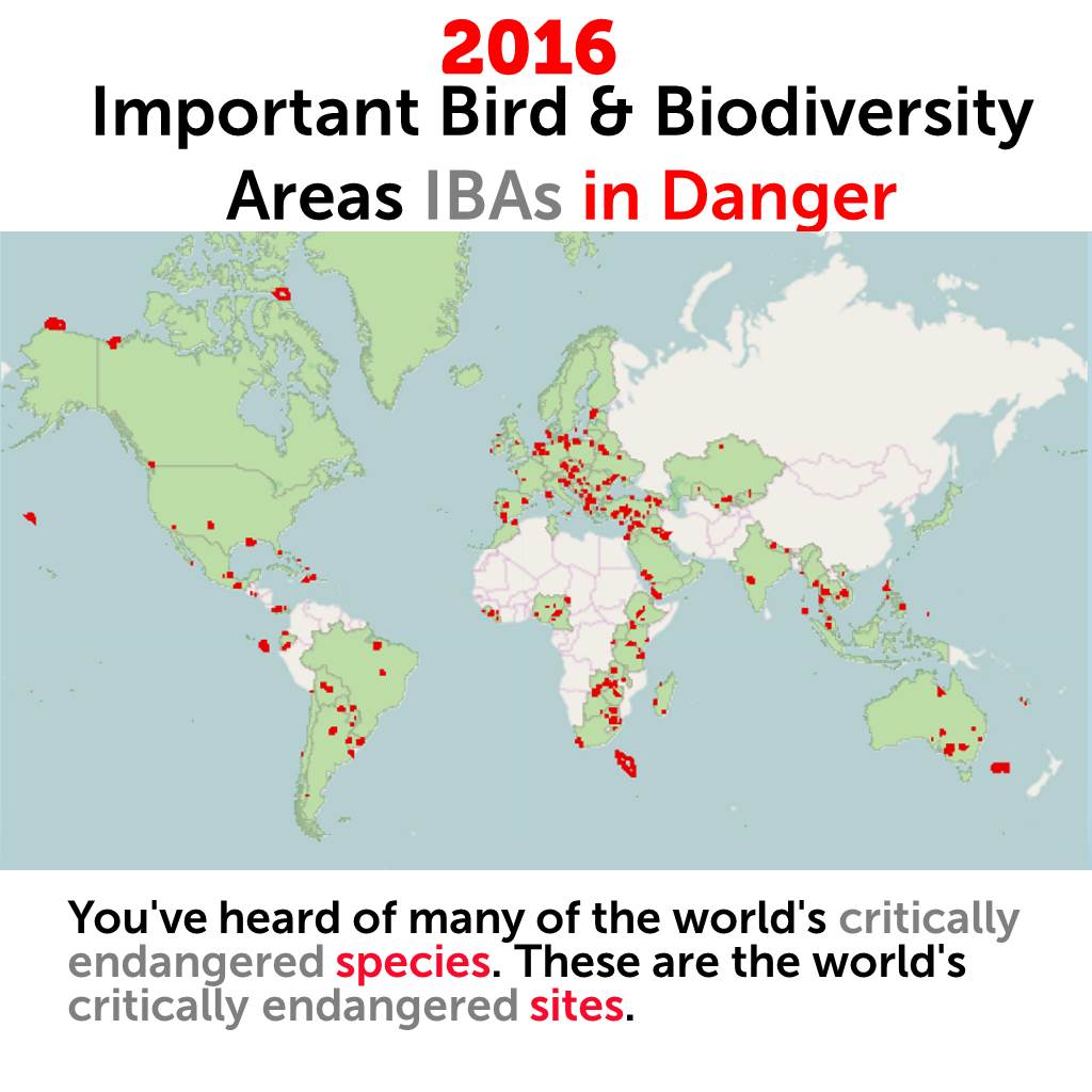 BirdLife_News's tweet image. These are the world&apos;s critically endangered sites arcg.is/1yc8Eel  #IBAiD