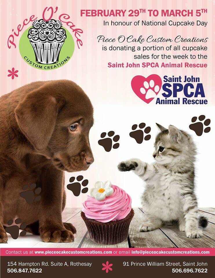 SPCAAR's tweet photo. Looking forward to this. Thanks to @PieceOCake11 for your support again this year #CupcakeDay #helptheanimals https://t.co/jAikFlTaOM