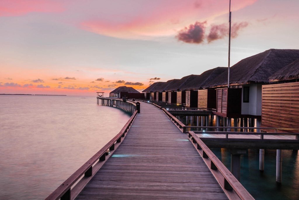 CollegeAppareI's tweet photo. Maldives 😍 https://t.co/9221IjyZCX