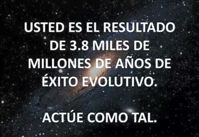 Armando Talamantes tweet media