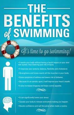 Gt Aquatics (@gtaquatics) on Twitter photo 