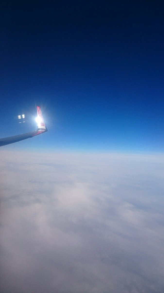 AlexKalopsia's tweet image. On our way to Oslo. Mandatory wing pic #splashjam