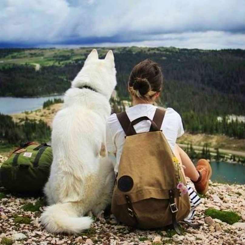 BarkPost's tweet photo. 18 Lessons You Learn When Dating A Girl Who Loves Her Dog https://t.co/H986uoUw0H https://t.co/cyNTOFbWCY