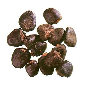medicalstore_IN's tweet photo. Buy Biba Semecarpus Anacardium Linn HERB Online In India
https://t.co/Iqg1My8WOU
#Biba #Semecarpus #Anacardium #Linn https://t.co/Xz287G1hFI