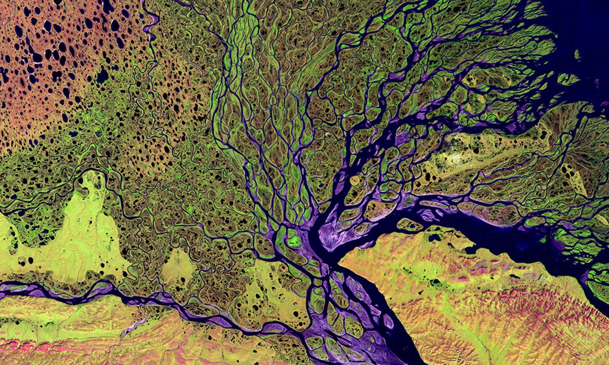 This is not an abstract painting
The Lena River Delta in Siberia/LandSat NASA