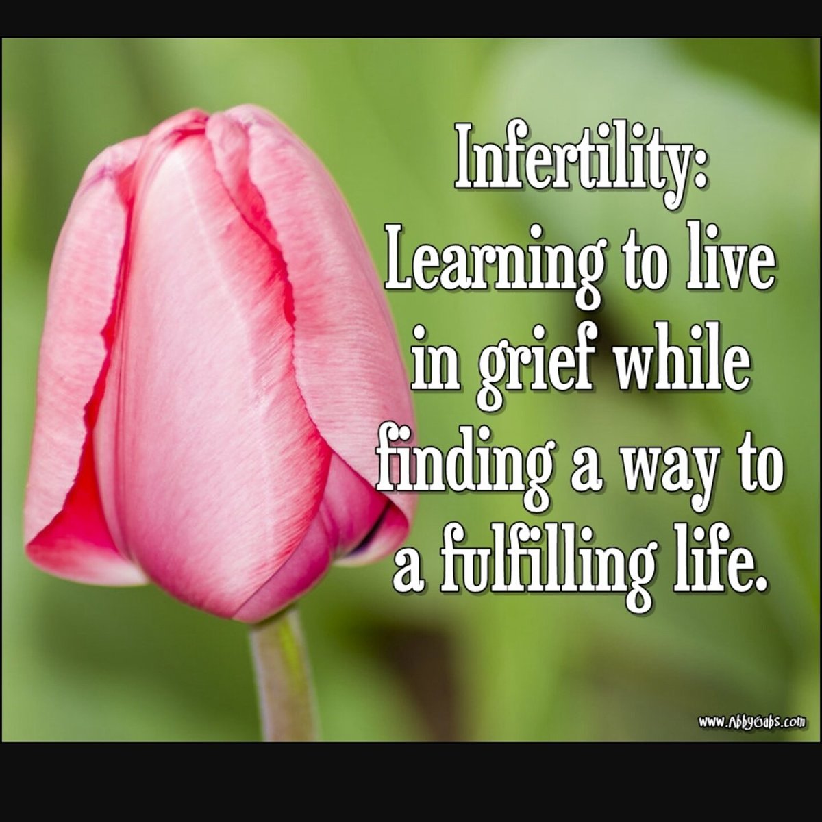 infertility_39's tweet photo. True Story #infertily #infertilitysucks #infertility40s #infertily30s #iui #ttc #ttcjourney #ttccommunity https://t.co/1qOLHZPLTx