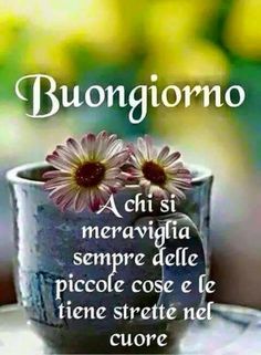 confusa11's tweet photo. @Vmemo_ve @RGrillandi @cecilia_fava @MariaMarott @graziasfe Buon giovedì a tutti col cuore 😊☕🌷🌻💎😘 https://t.co/4LWrRp0qqI