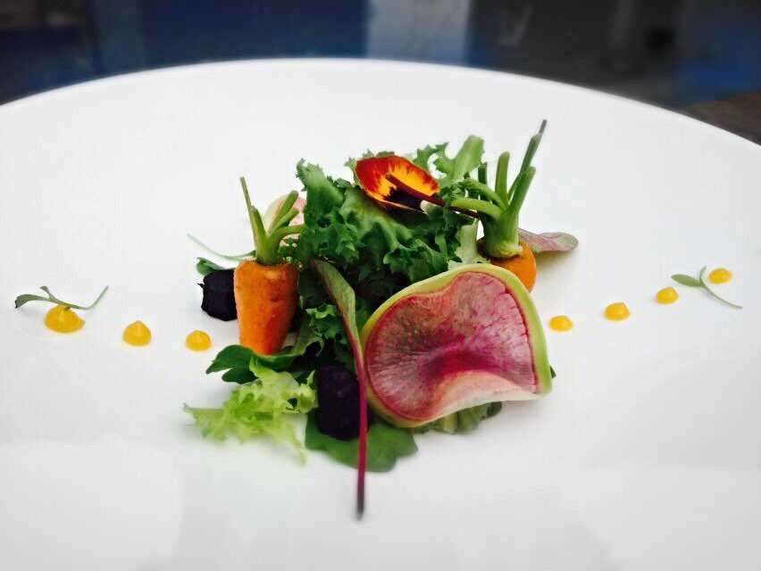 chefutkarsh1's tweet photo. Day's special salad-red heart radishes, black carrots, wasabi roquette, red beet leaves, passion gel. https://t.co/GgHGrCVr5k