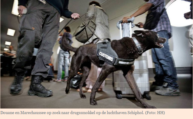 FD_Nieuws's tweet image. Internationaal webwinkelen dwingt douane tot aanpassen toezicht - nws.fd.nl/1oLMv7H