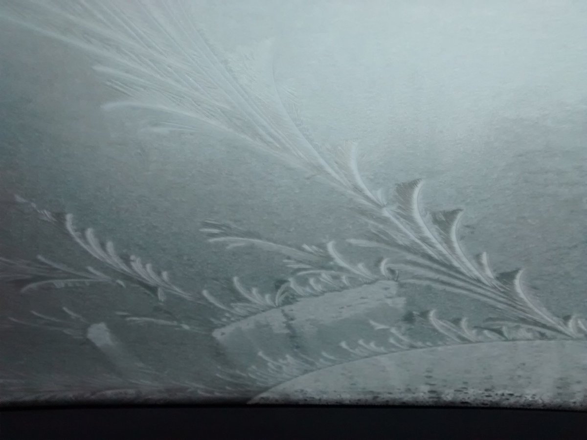 Sophia_Moseley's tweet image. Always love the frozen frond shapes that form on the windscreen #FrozenArt