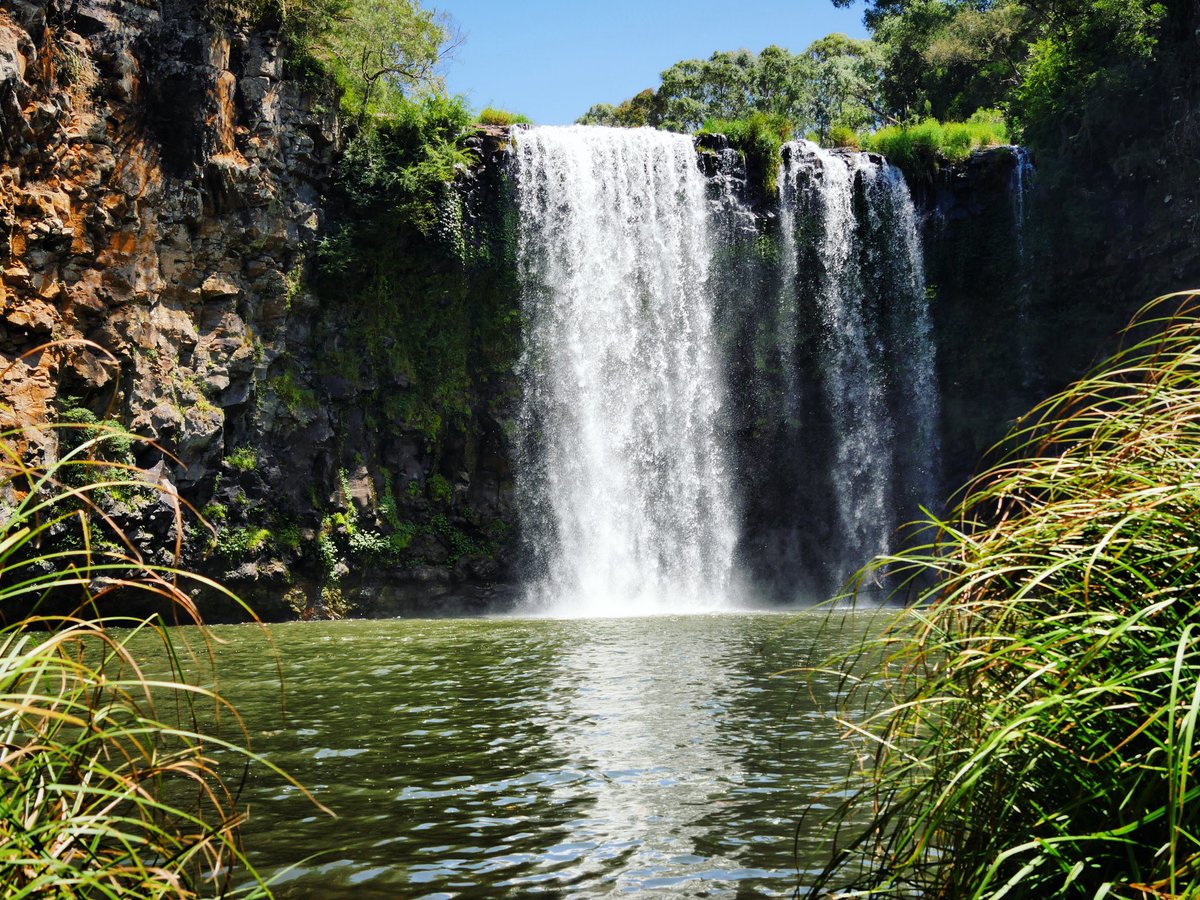WanderingOzzie's tweet photo. We may not have spotted the elusive Platypus but we had an awesome day trying!!!
#dangarfalls #dorrigo #nsw https://t.co/BVkSmhThpg
