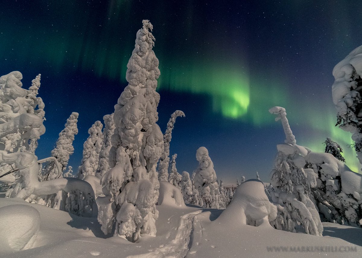 Kiili's tweet image. Trail to Auroras #yllas #Lapland #Finland