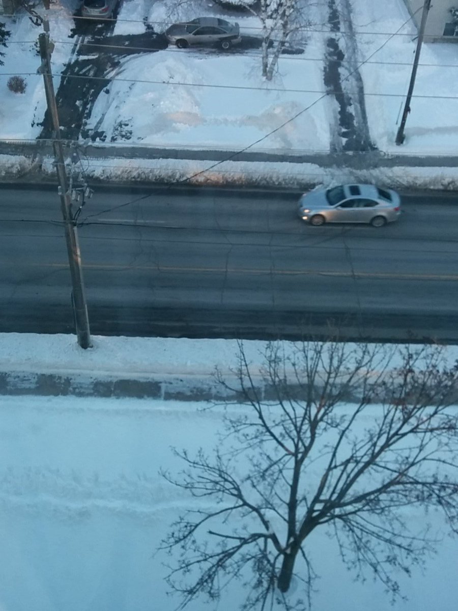 LittleFoxxOP's tweet photo. Snow really needs to go away now lol #byesnow #goaway #donotwant https://t.co/iECtfTbN70