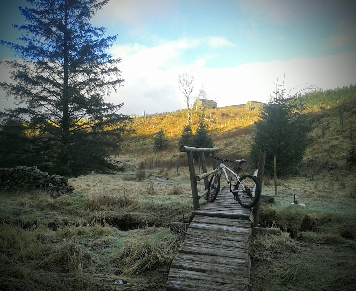 mary_wilko's tweet photo. It was such a beautiful morning (before the rain/hail/sleet/snow came!) @GFBTrails #mtb #allweathertraining https://t.co/GeXGnmOuk9