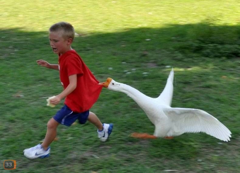 DolanDark's tweet photo. when u find the kid from xbox live who said he fucked ur mum https://t.co/wPfX4Dgtcx