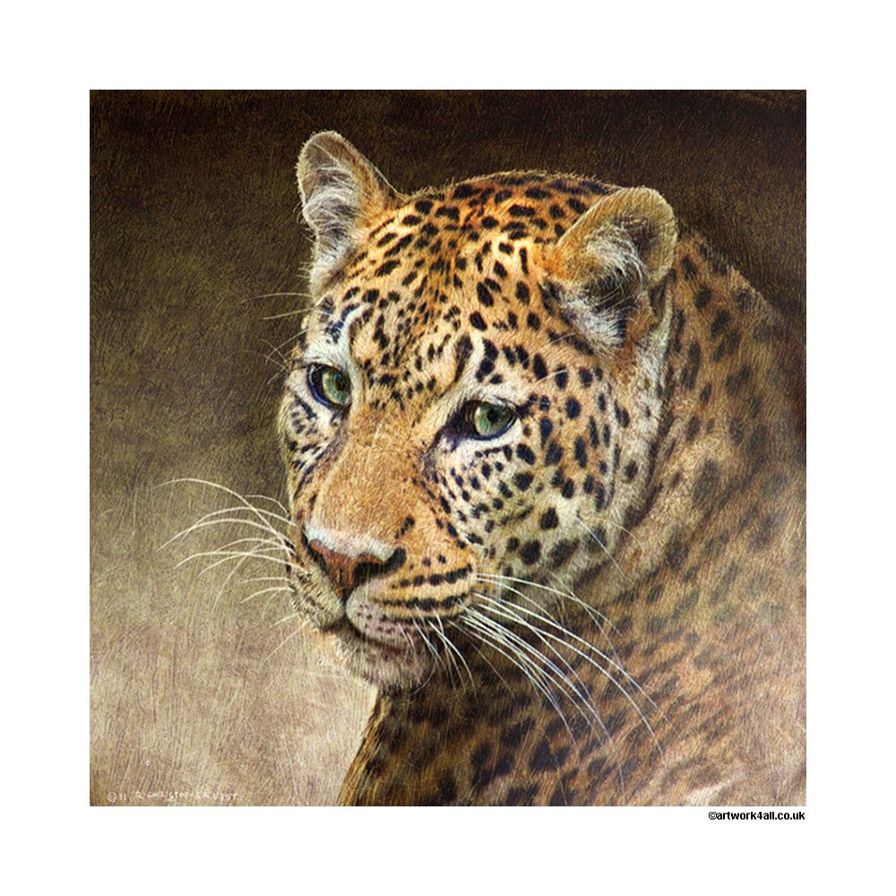 Anna Dempsey Designs & Beyond The Galleries (@beyondthegall) on Twitter photo Show your wild side with the Animal Range from <a href="/Artwork4All/">Artwork 4 All</a>! #art Shop Here > bit.ly/1E4lEVE Show your wild side with the Animal Range from <a href="/Artwork4All/">Artwork 4 All</a>! #art Shop Here > bit.ly/1E4lEVE