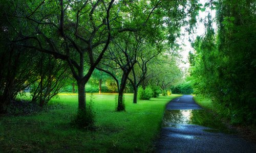 rafipsdoha's tweet image. 