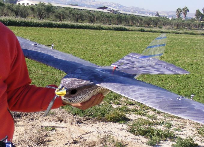 wineflightchile's tweet photo. #Dron con forma de ave rapaz llegará a Latinoamérica a proteger cosechas https://t.co/UV6PpoHqaa / #agricultura https://t.co/kFnSWUA9fT