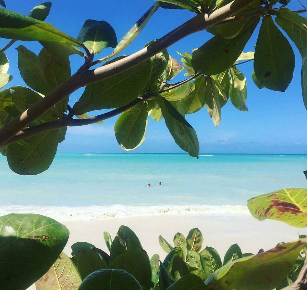 CaribbeanInfo's tweet photo. Fab ! @antiguabarbuda You should be here ! #LoveAntiguaBarbuda https://t.co/EpA74ohKwl