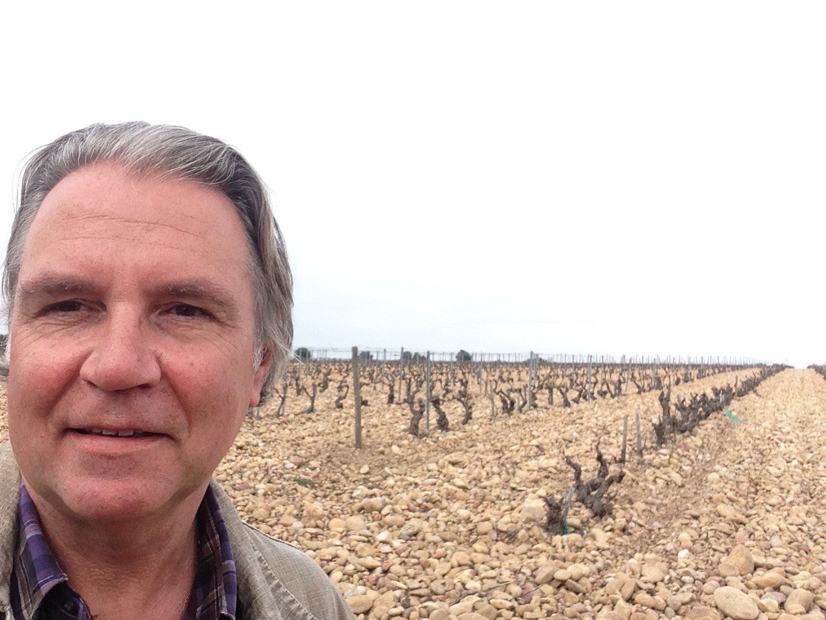 HarryKaris's tweet photo. Vieux Telegraphe Chateauneuf vineyards at la Crau  many Galets Roules - unique expression of the terroir https://t.co/XjRRaRchDh