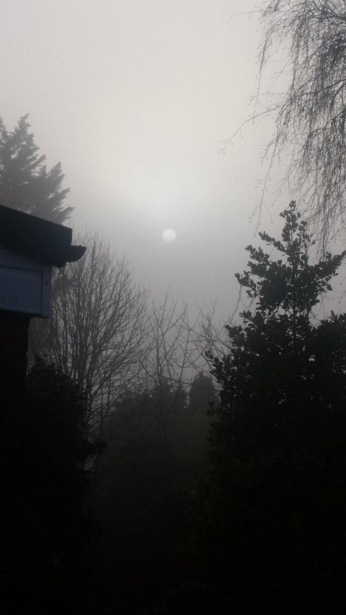 phico65's tweet photo. Winter sun. #chorlton @ILoveMCR https://t.co/shI5ChmSDO