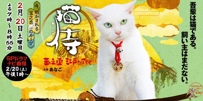 チバテレ 公式 Pa Twitter 猫侍のスペシャルドラマ 3 スペシャルドラマ 猫侍 玉之丞 江戸へ行く 2 土 19 00放送 今回の主役は玉之丞 今明かされる玉之丞のルーツとは 出演 田中直樹 ココリコ 山口紗弥加 ほか チバテレ T Co Dbrluraynd