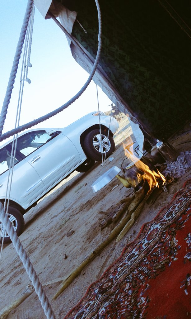 sadektaife's tweet photo. الشلوي 501 https://t.co/ozR7LjV7u7