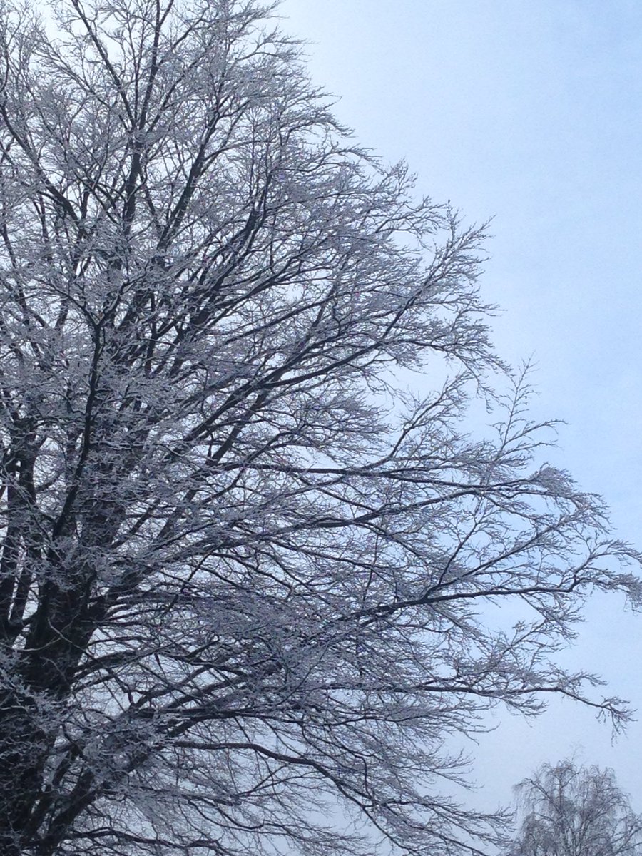 franka_k_'s tweet photo. Endlich Schnee☃❄️ https://t.co/8z3S2gJgti