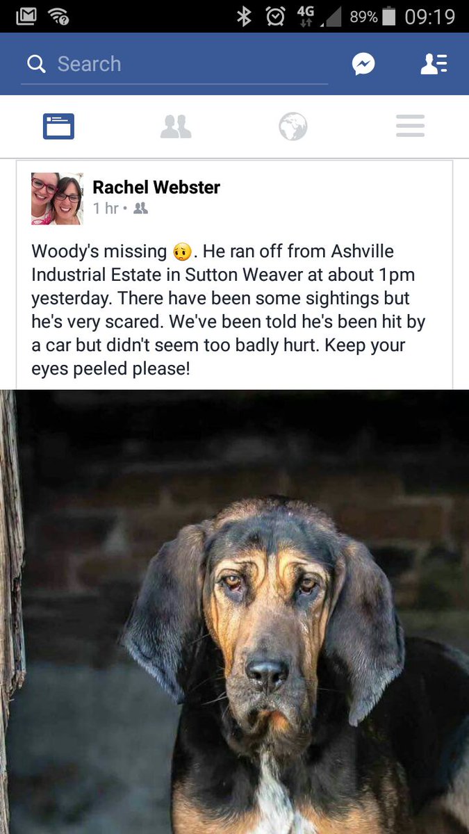 nicky huizer tweet media