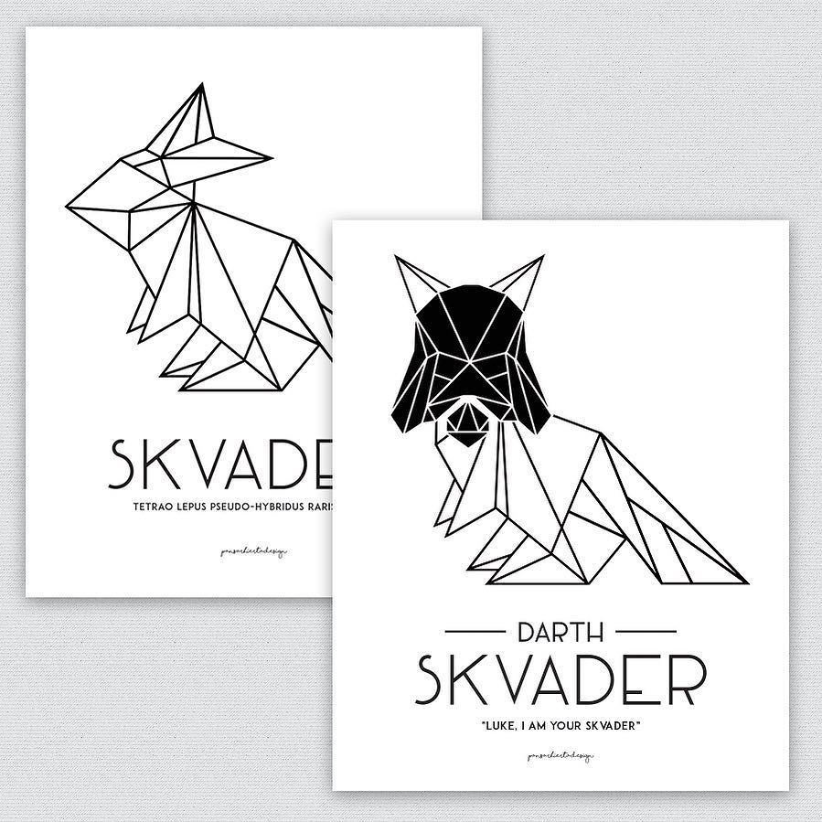 hashtagstarwars's tweet image. New #DarthVader Instagram by @pansarhiertadesign // Darth Skvader! 😂🙌 Too funny! #pansarhiertadesign #skvader #star…