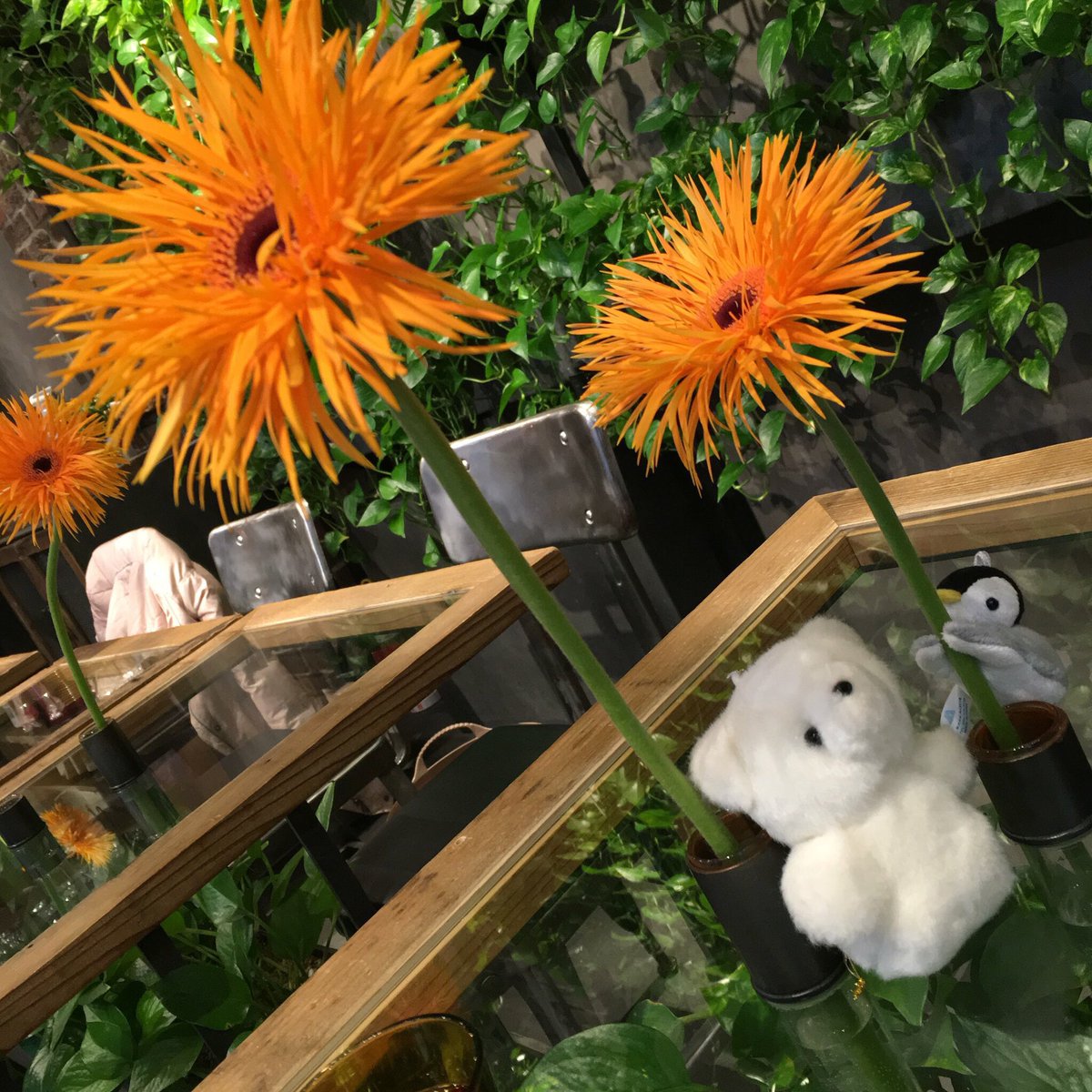 Maya_chan13's tweet photo. たのしいなあ https://t.co/E1nCtawgd0