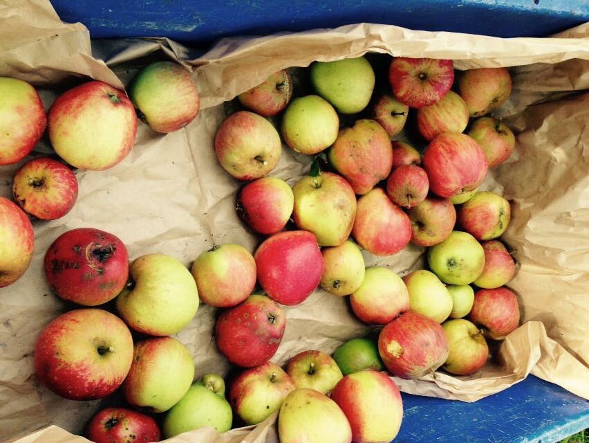 Hello Twitter. Spring isn't far away so here are a couple of photos to make you think of warmer times.